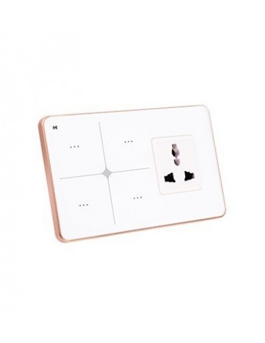 Forbes Intelligenz Soft Touch Panel 4 Button with Socket
