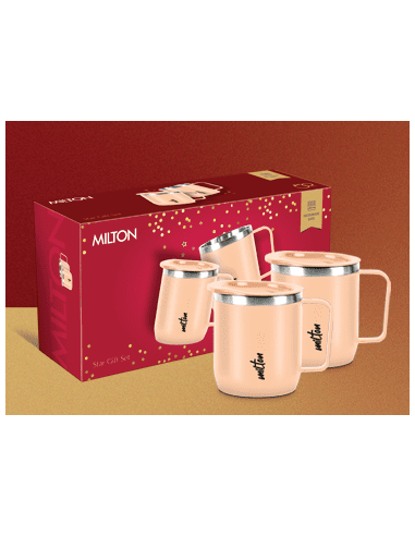 Milton Star Gift Set Stainless Steel Mug With Lid 285ml 2 pc