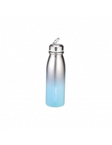 Joyo Steelmax Cool Viz Double Walled Stainless Steel Vacuum Insulated Flask Water Bottle 450ml