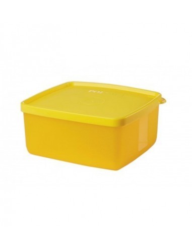 PolySet Magic Seal Rectangular Plastic lunch box 600 ml