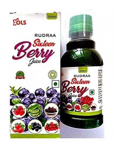 Rudraa Sixteen Berry Juice (200ml)